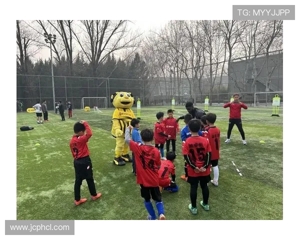 青训装备全攻略：青少年足球服装安全标准与选购