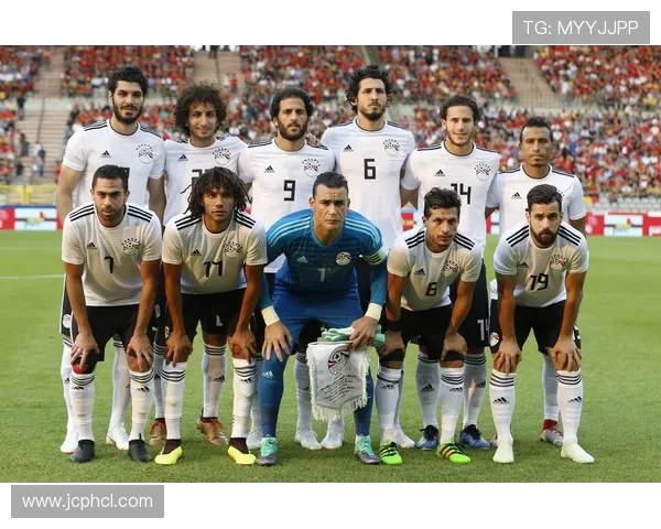 聚焦埃及世界杯预选赛分组形势与晋级前景全解析深度观察与战术展望